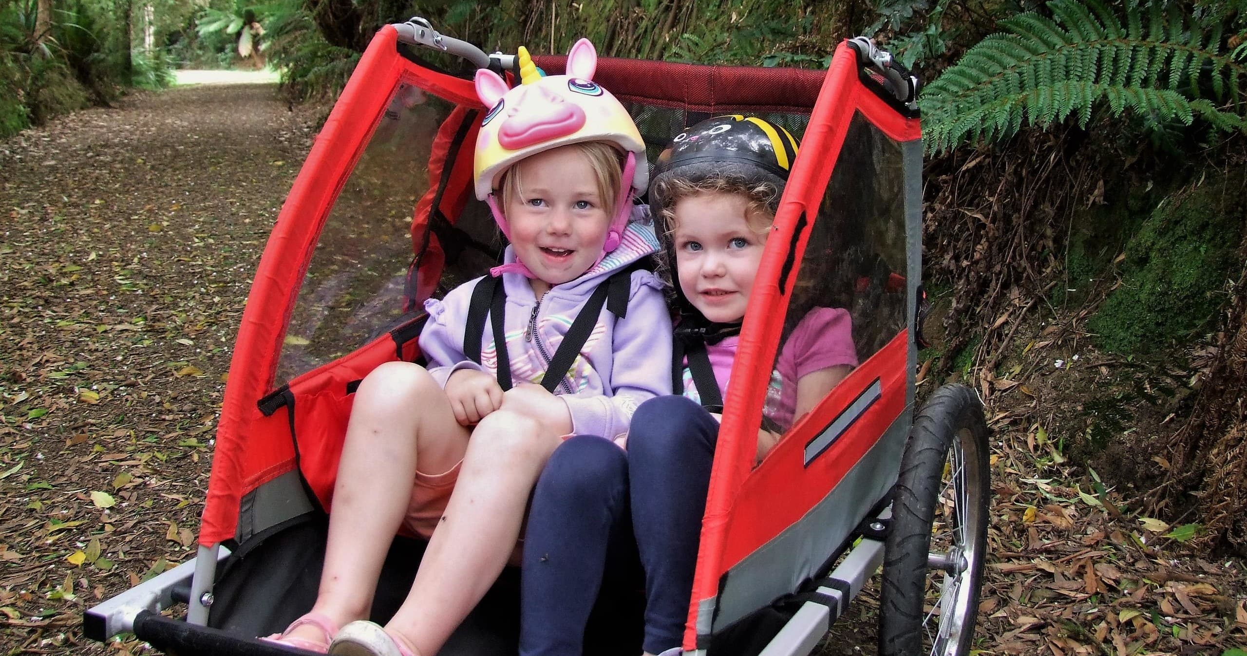 Two children seated in bike trailer enjoying family ride on forest trail