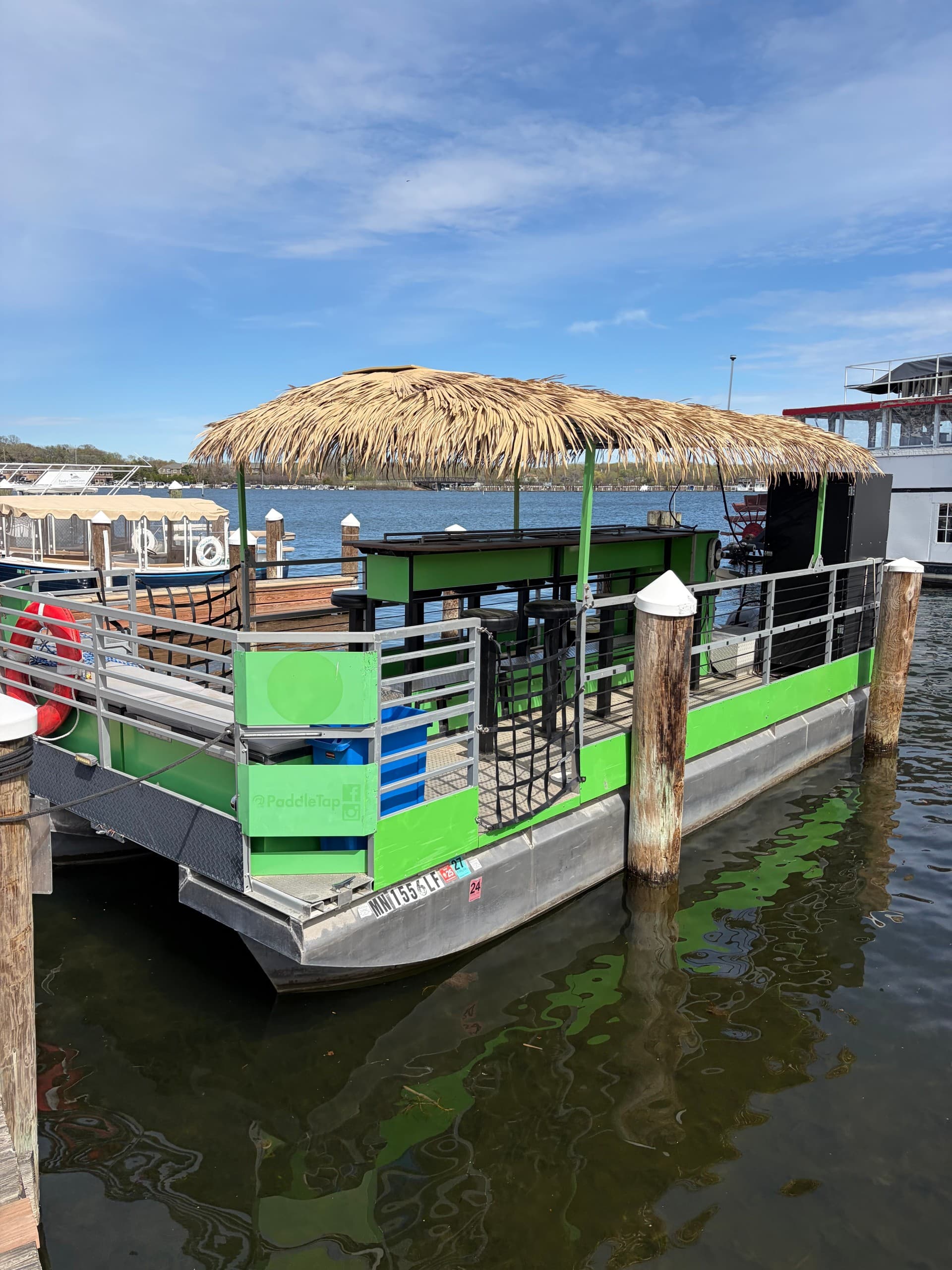 Small TikiTap Cruise on Lake Minnetonka: Two-Hour Pontoon Party from Excelsior photo 1