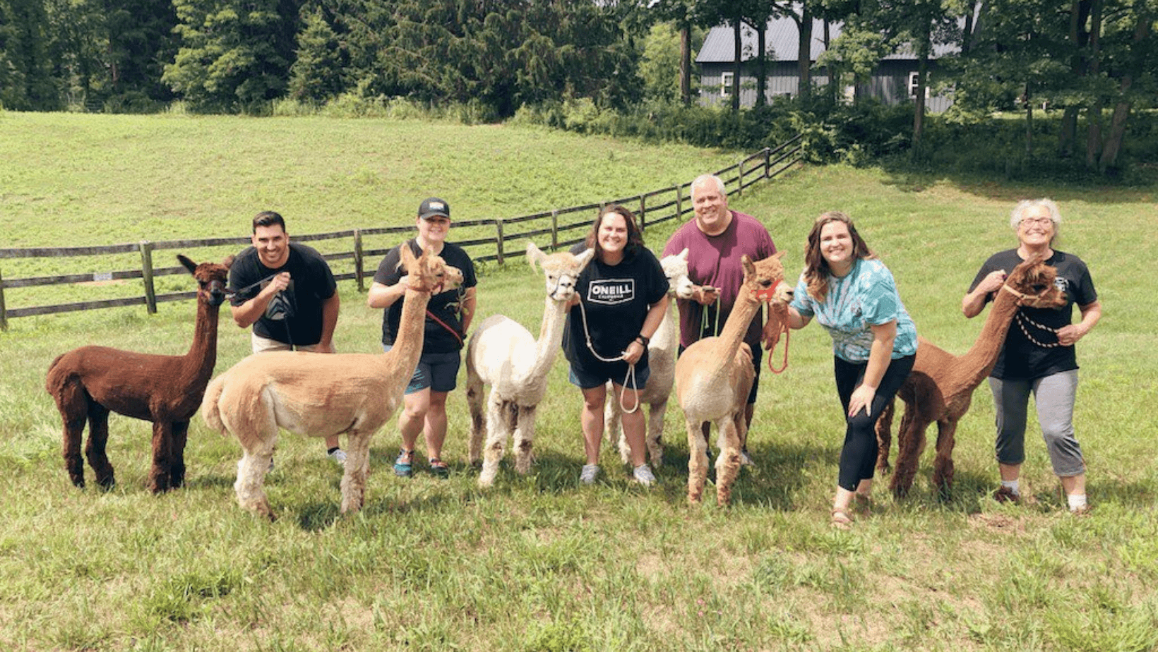 Discover the Joy of Alpaca and Llama Trekking in Pleasant Valley, NY