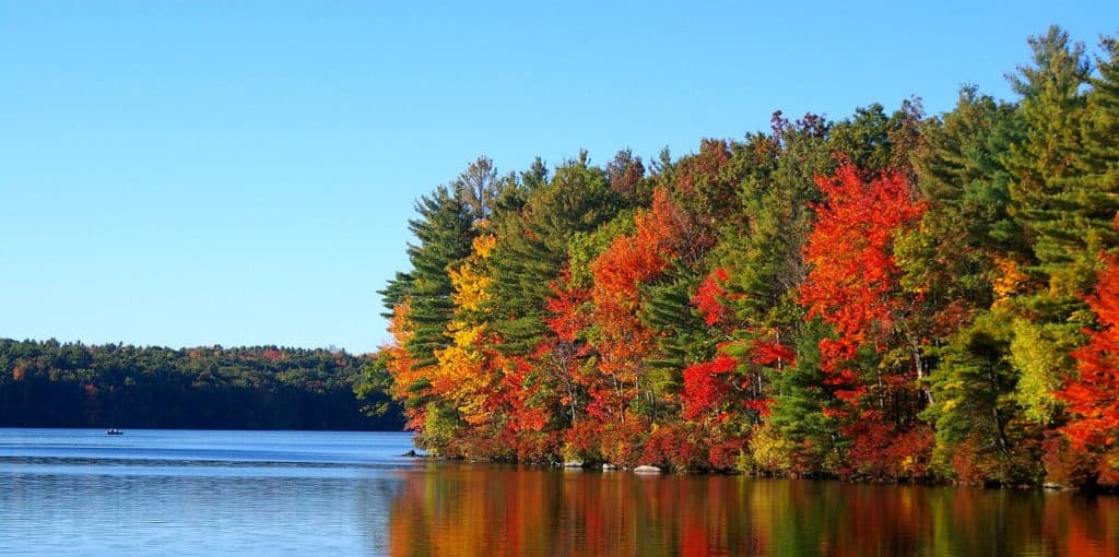 Lakeshore autumn foliage reflecting over calm lake vista
