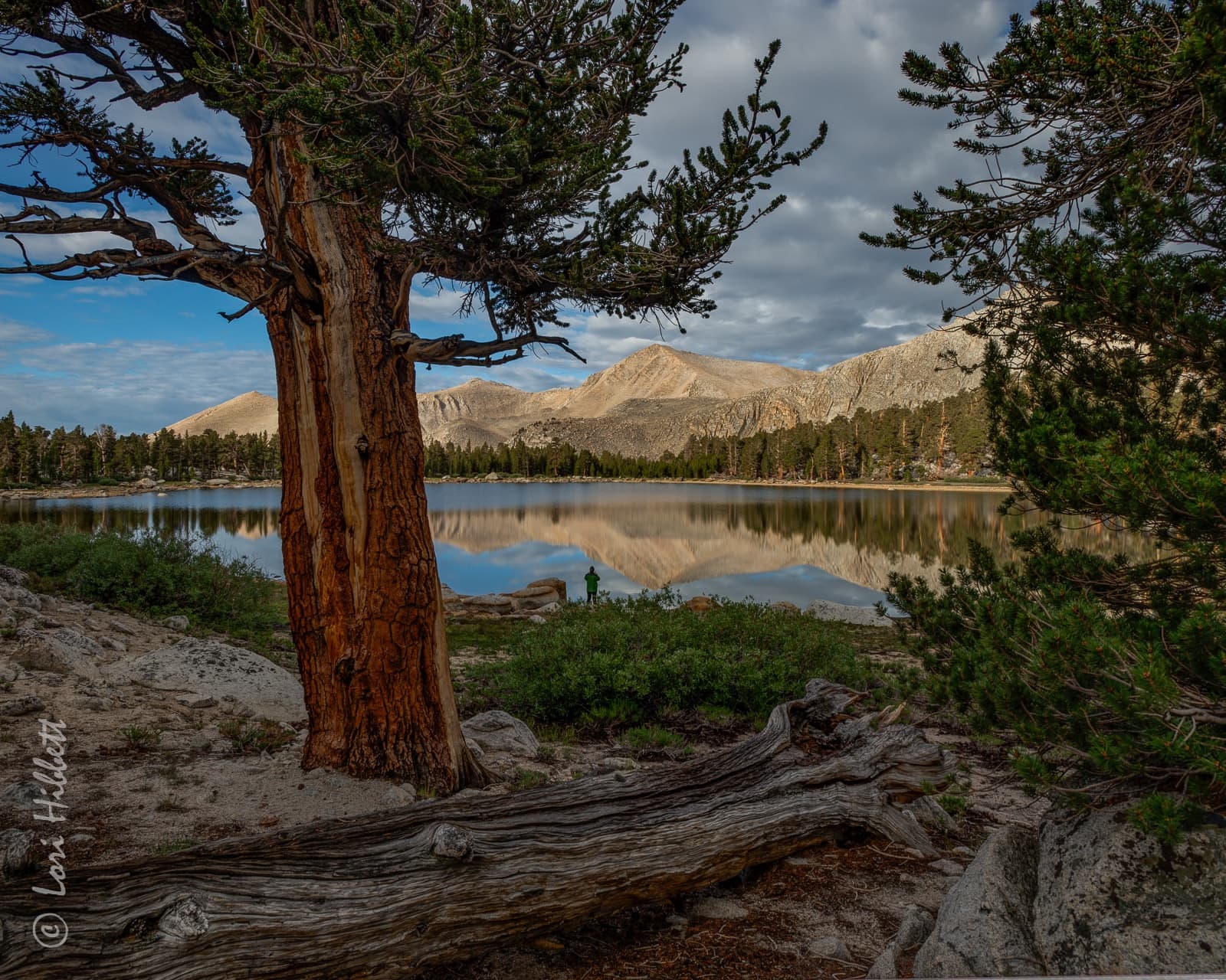 Sierra Nevada Horsepacking: 8-Day August Ride and Perseid Meteor Nights photo 1