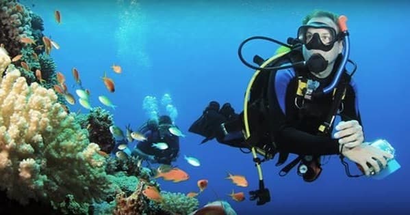 Bamboo Reef Scuba Diving Centers fleet