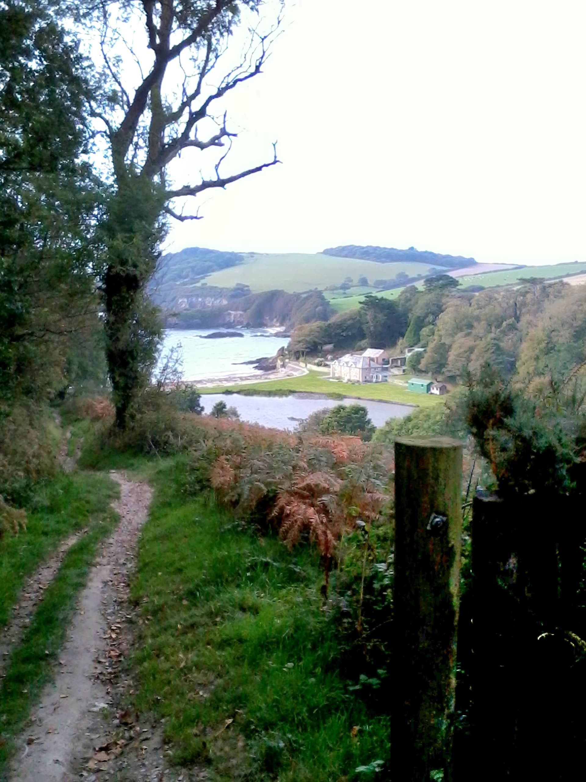 Fowey Town & Coastal Guided Walk — 2.5-Hour Cliffside Stroll on the South West Coast Path photo 1