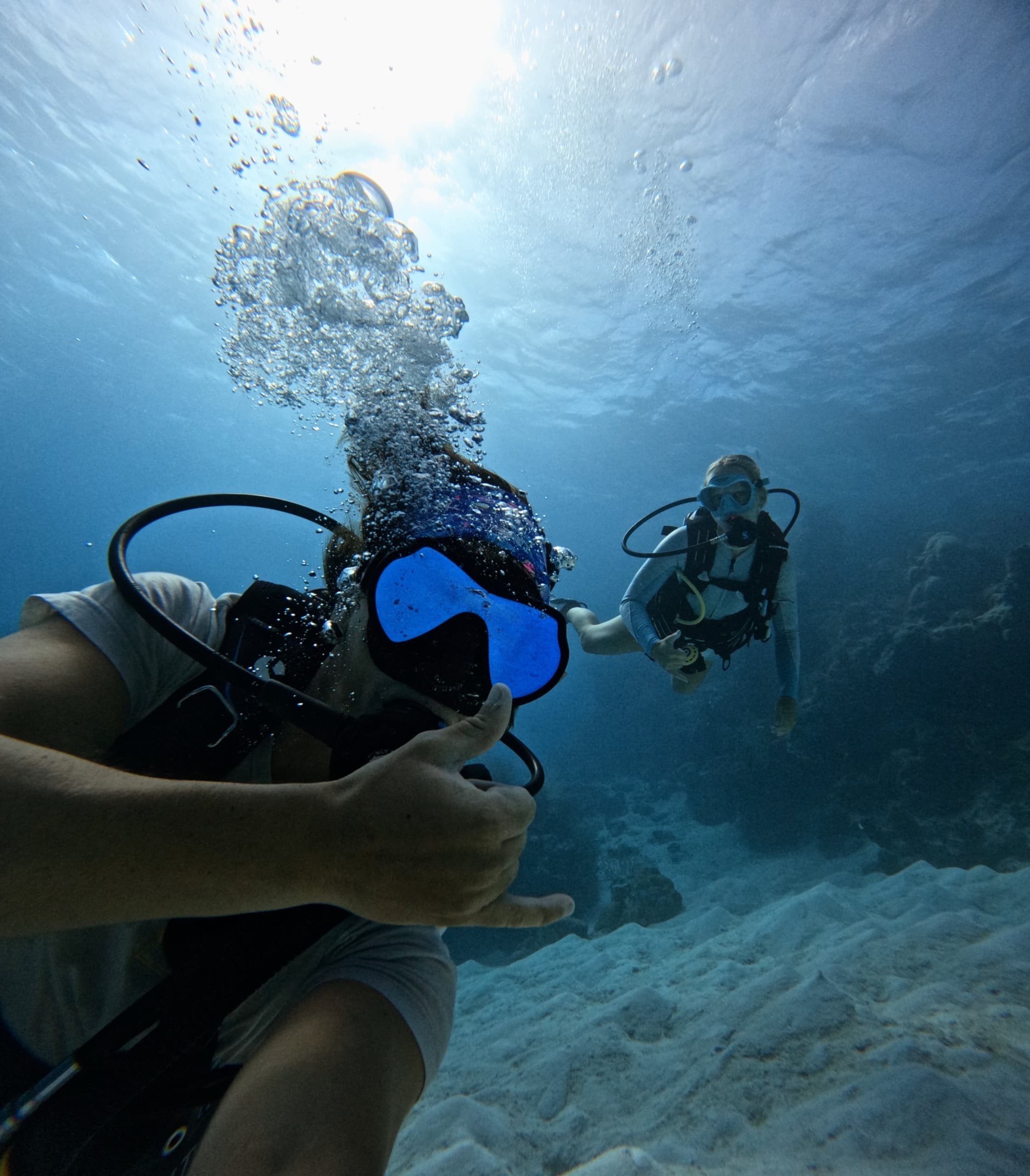 Private Boat Scuba Diving Adventure in Honolulu, Hawaii