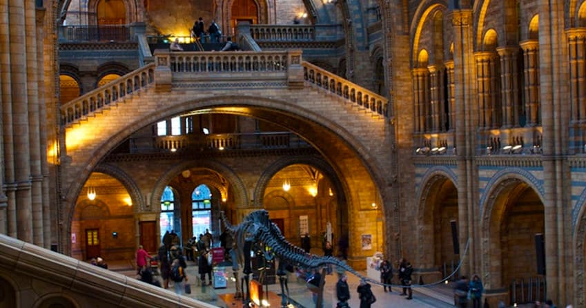 Natural History Museum Tour with Babylon Tours London