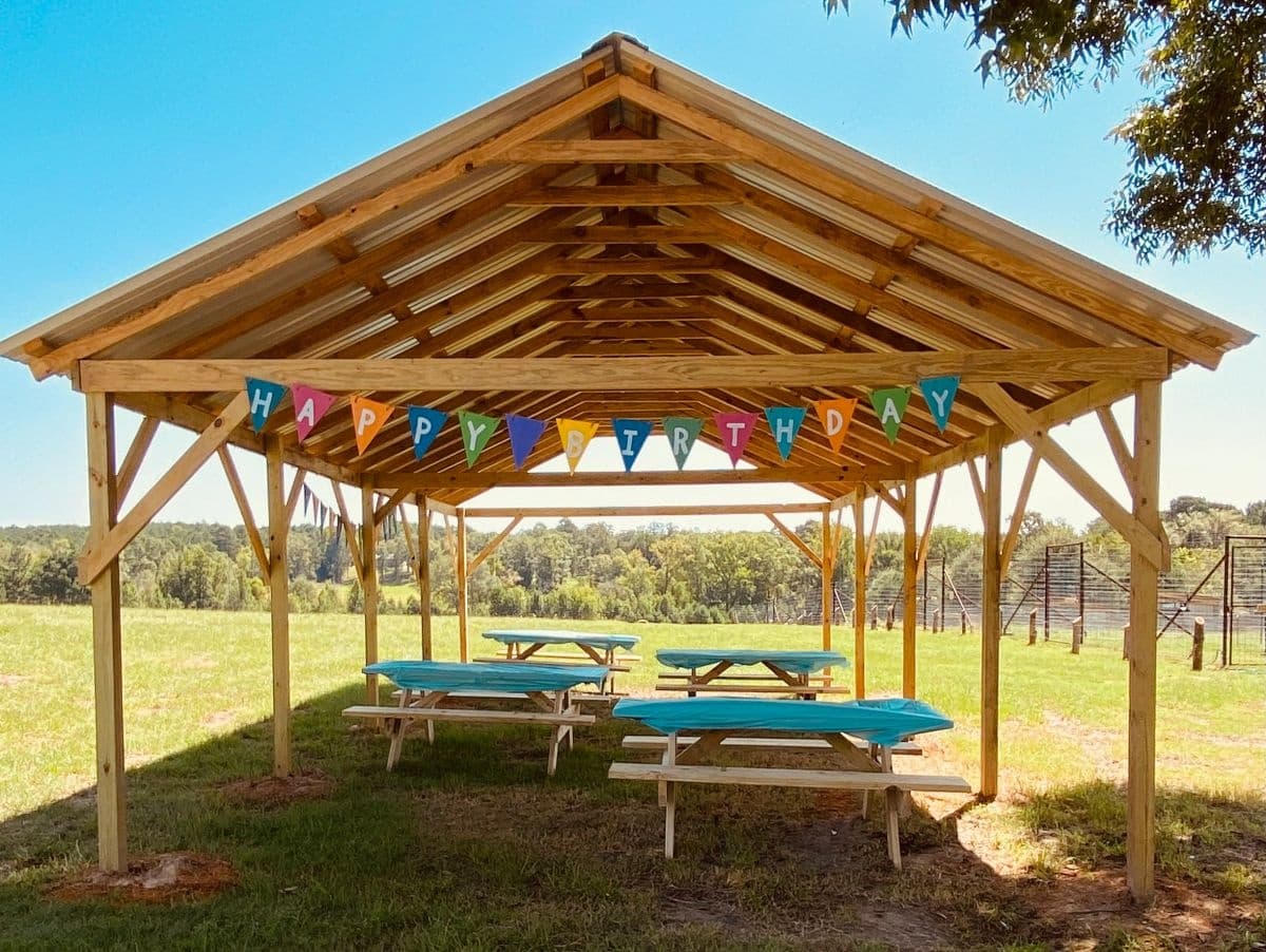 Celebrate an Unforgettable Kids Birthday Party at Busy B Wildlife Ranch in Jefferson, Texas