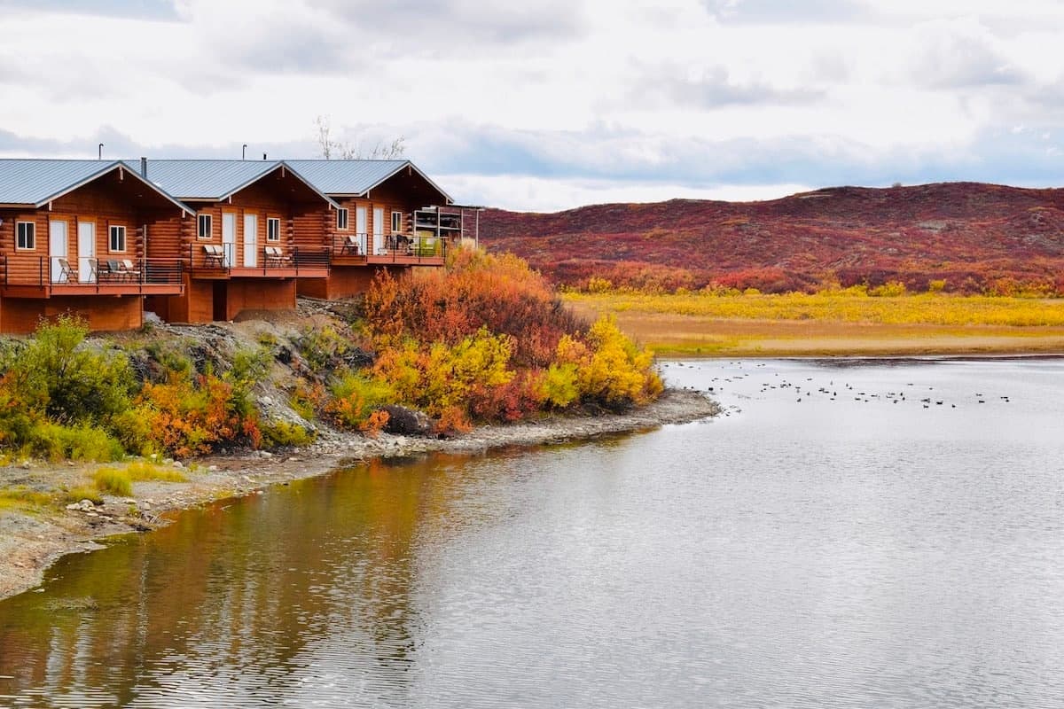 Denali Highway Overnight: Aurora, Wildlife & Wilderness Lodge