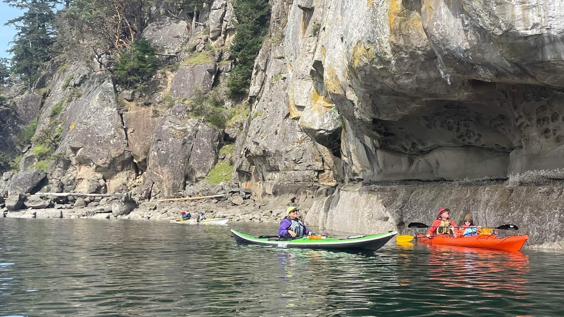 Saturna Island Sea Kayak: 90-Minute Wildlife Paddle from Lyall Harbour