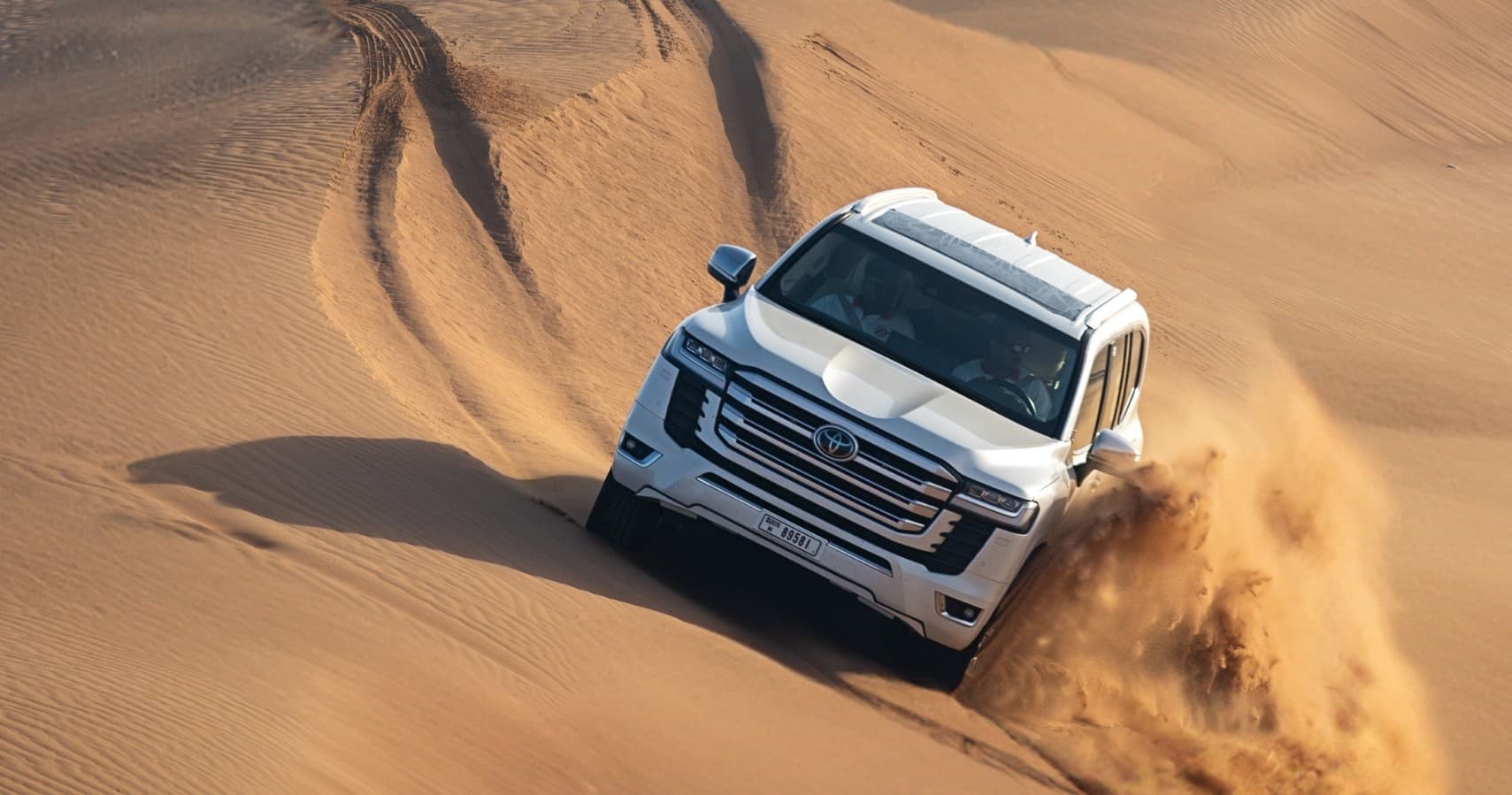 Desert Adventure & Dune Bashing with Raptor Tours and Safari