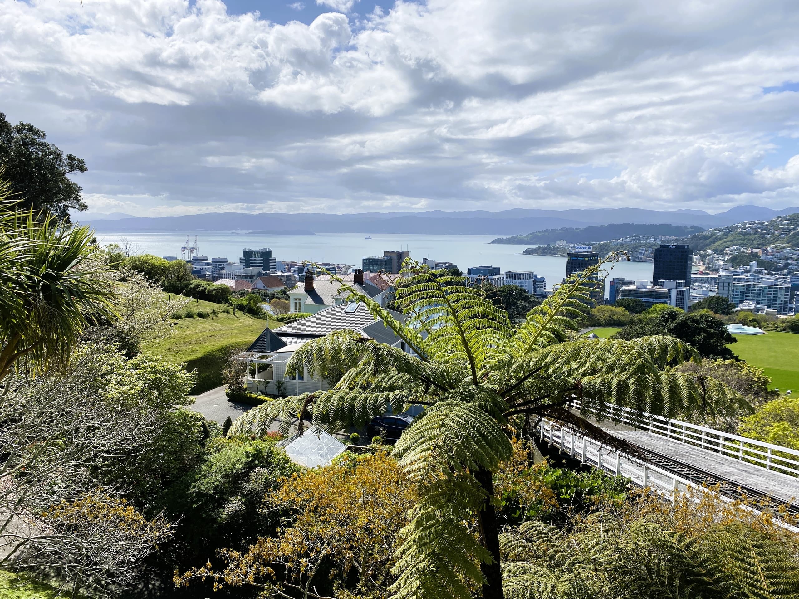 Three-Hour Wellington Eco Walk: Cable Car Views, Botanic Garden & Cuba Street