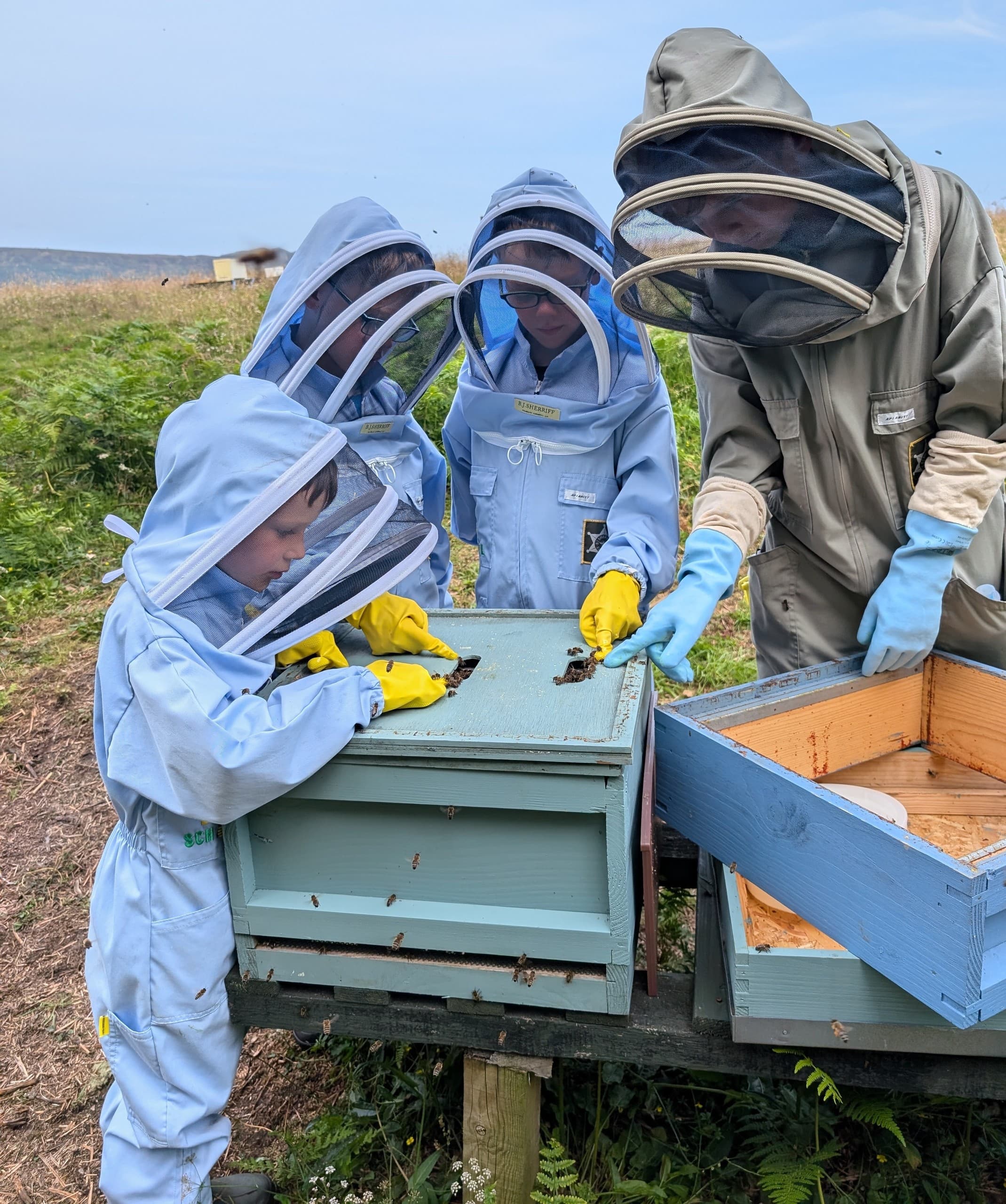 Junior Bees: Hands-On Youth Beekeeping Near Balloch, Scotland photo 1