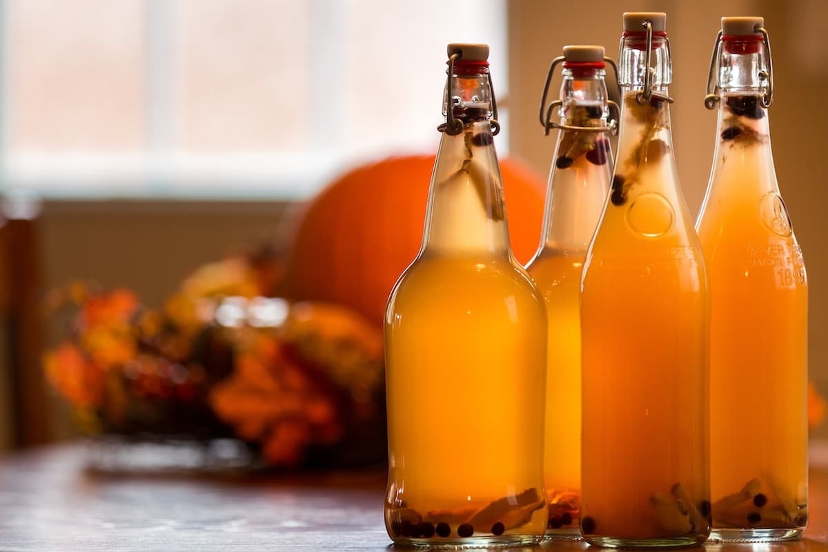 Water-Activities & Vegan Academy: Kombucha Workshop in Amsterdam