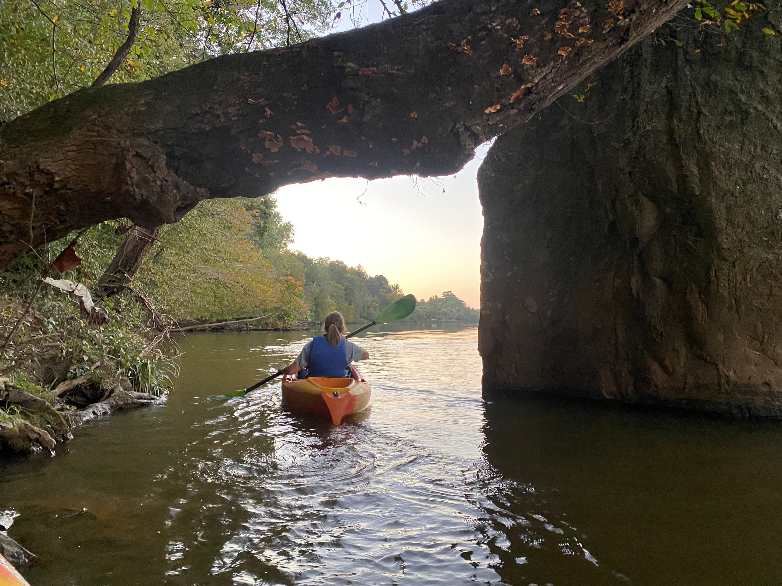 Explore Haw River Canoe’s Guided Paddle Tours: Saxapahaw Lake Adventures in North Carolina