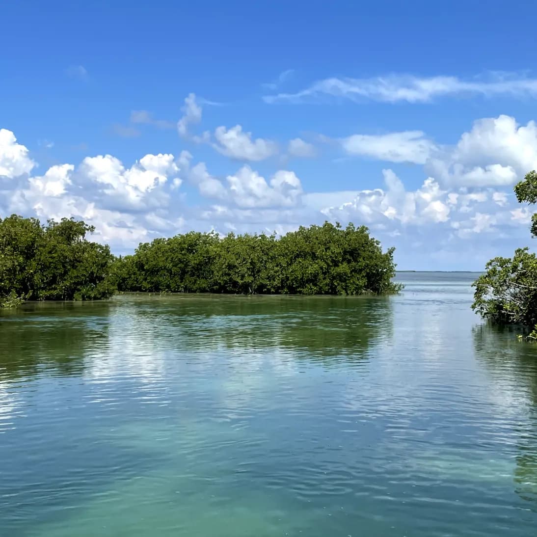 Everglades Eco Scenic Tour with Islamorada Fishing Guides