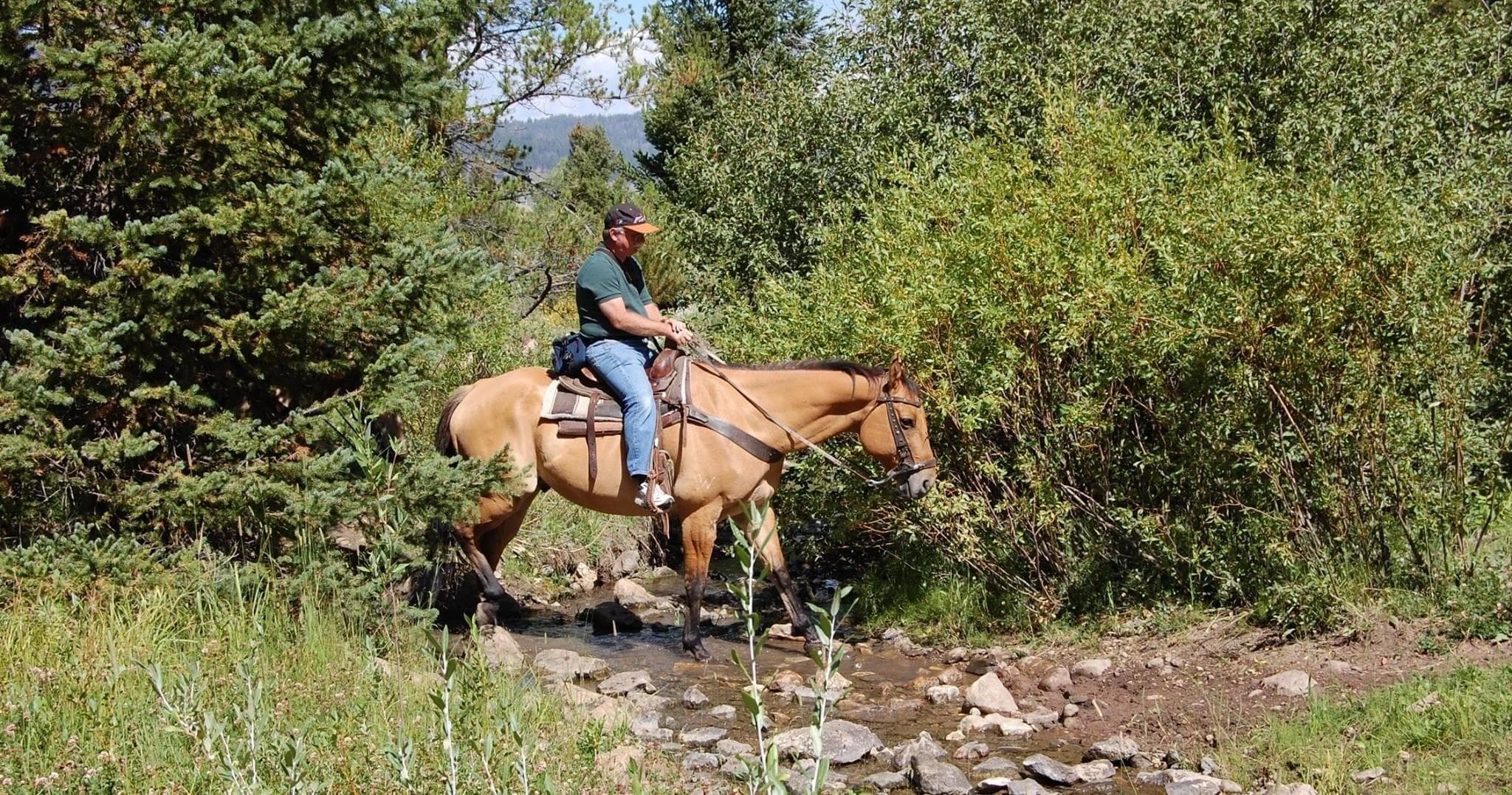 Horseback Riding in Yellowstone with Yellowstone Horses