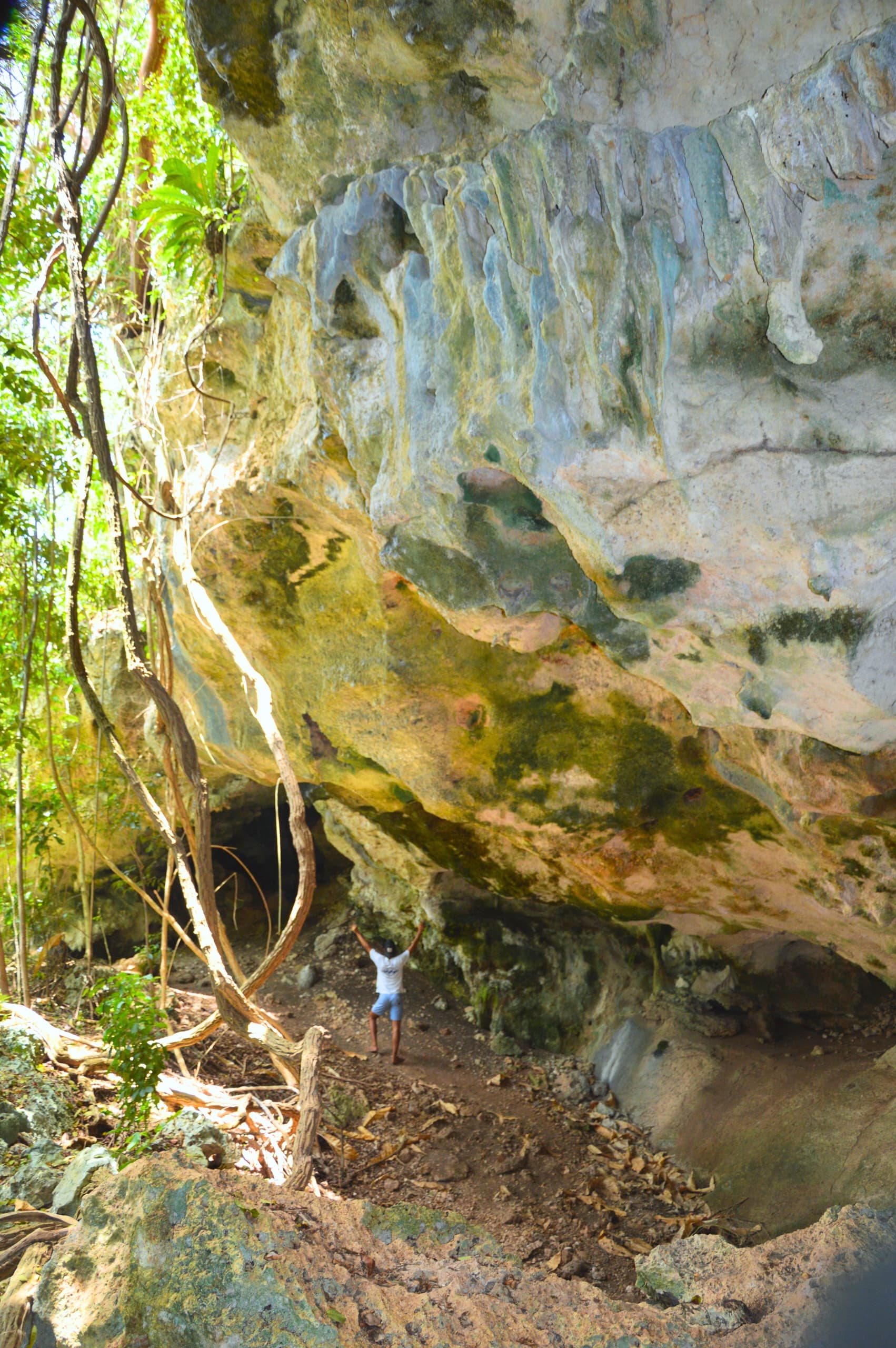 Float a Hidden Spring and Cliff-Jump at a Secluded Puerto Rico Beach photo 3