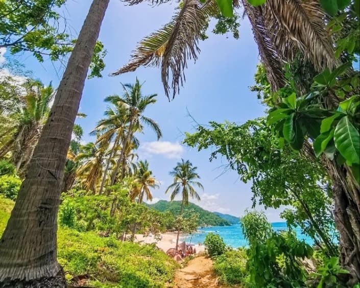 Boca de Tomatlan to Colomitos Hike & Snorkel with PVR Tours