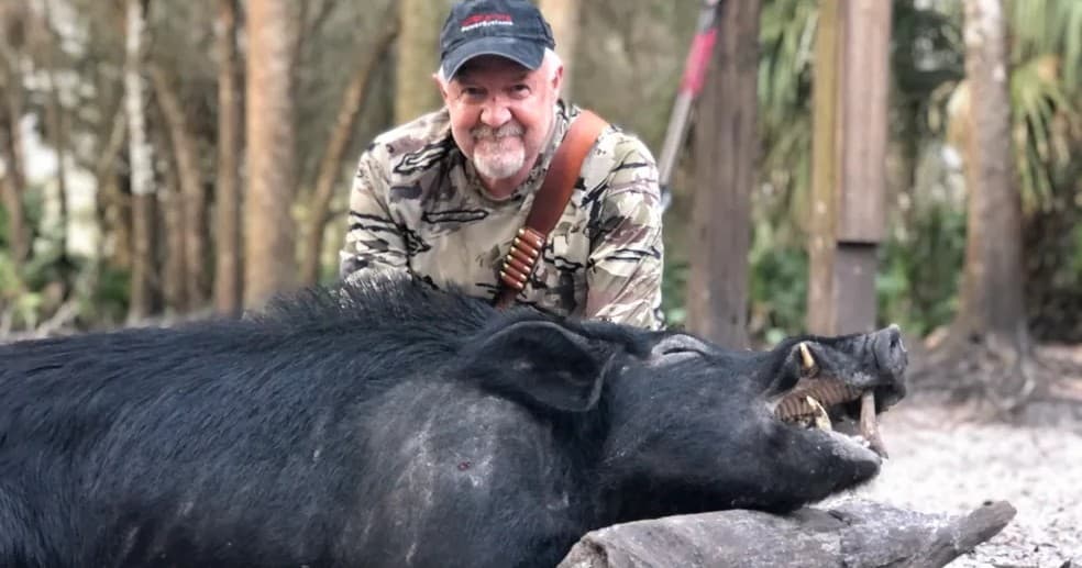 Wild Hog Hunting at Bienvenue Outdoors in Florida