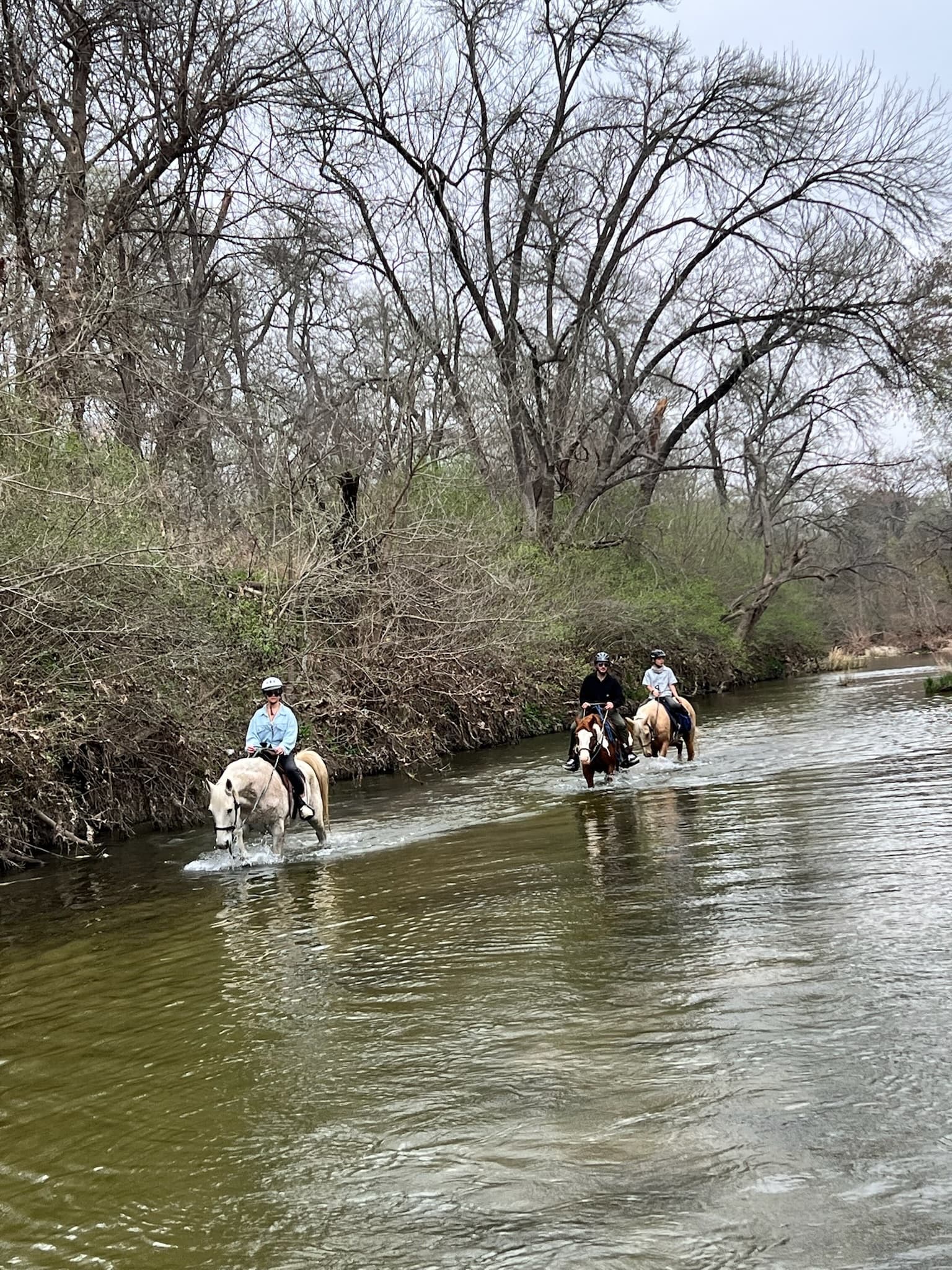 Austin River Ride: Explore Onion Creek Greenbelt on Horseback