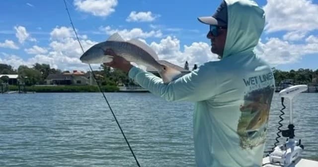Angler releasing small fish from boat against blue sky and water