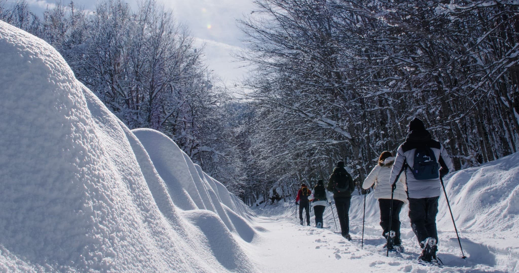 Snowshoeing Passo Godi: Winter Trek in Parco Nazionale d’Abruzzo