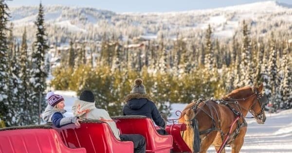 Red sleigh pulled by horses with passengers across snowy trail, Big White