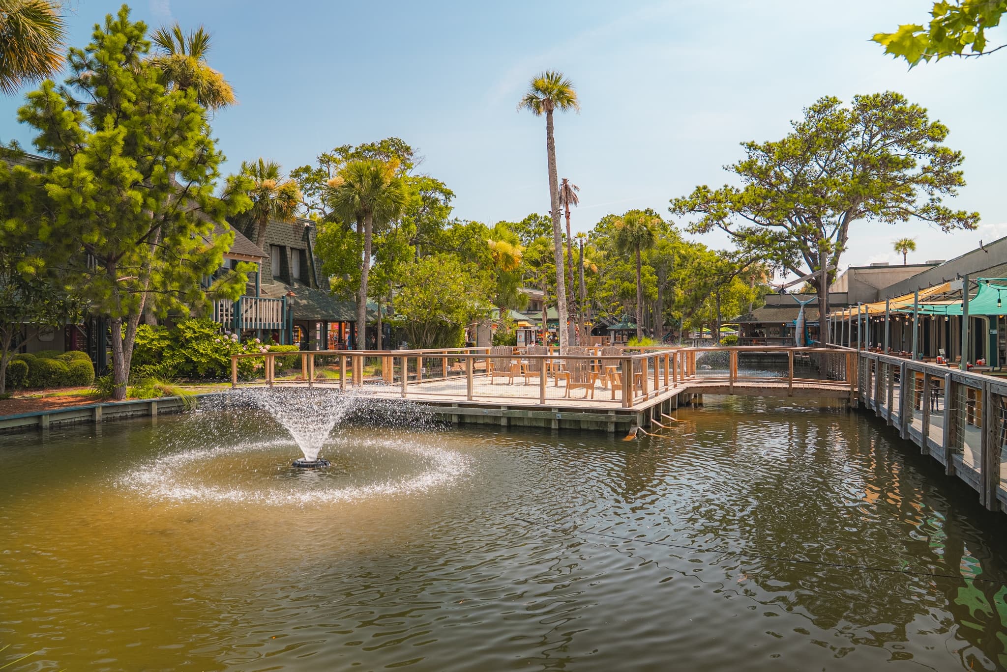 Savannah to Hilton Head Ferry: Scenic 2-Hour Round-Trip Across Savannah Harbor photo 3