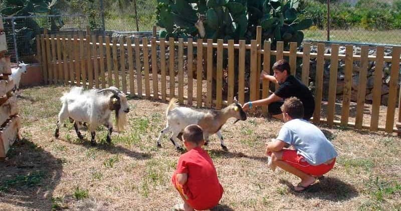 Family Farm & Animal Encounters at Ranxo Ses Roques