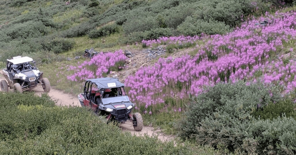 Half Day Off-Road Rentals in Silverton, Colorado