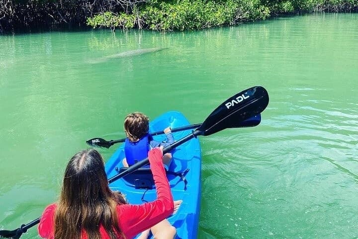 Kayak Rentals at PADL - VK Beach Club in Miami