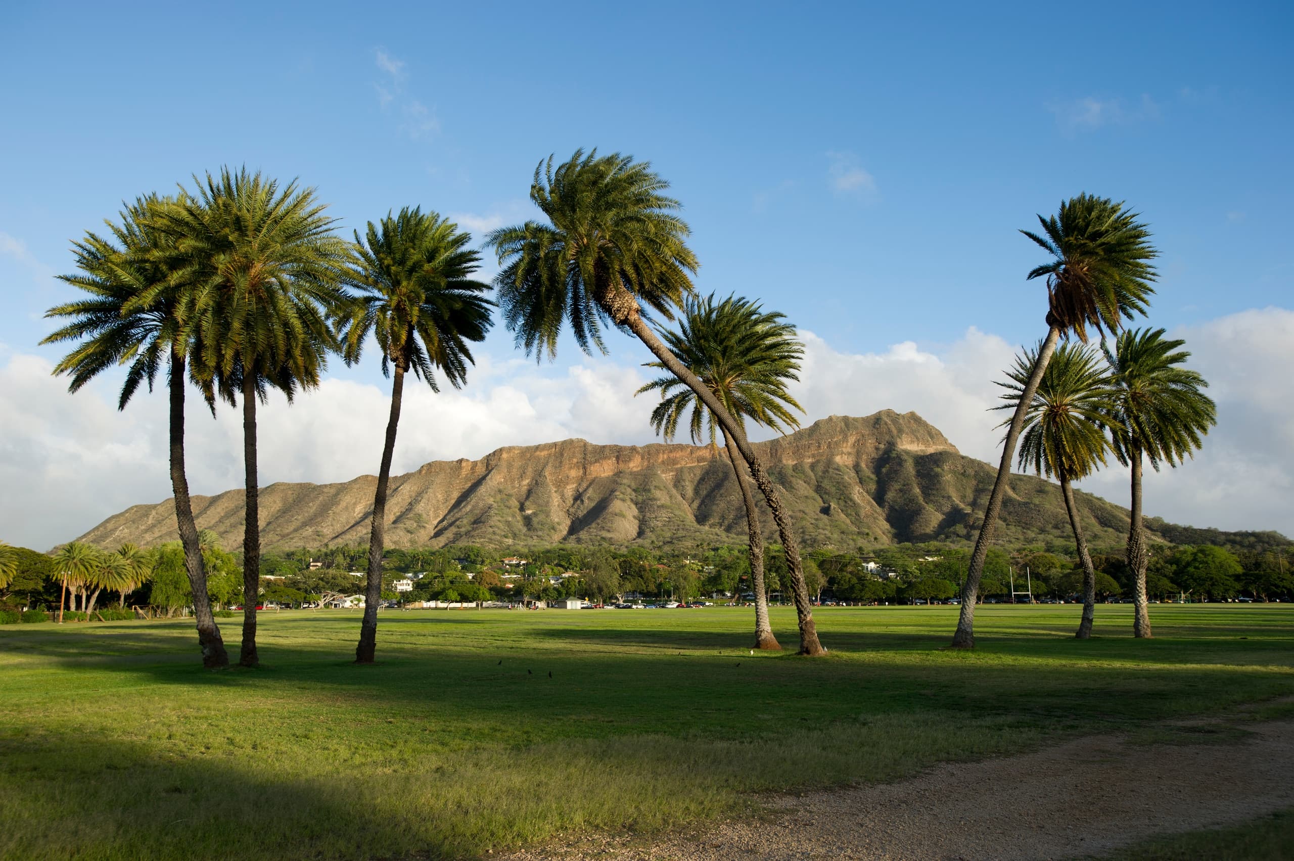 Hiking at Diamond Head with Blue Lei Hawaii Tours in Honolulu