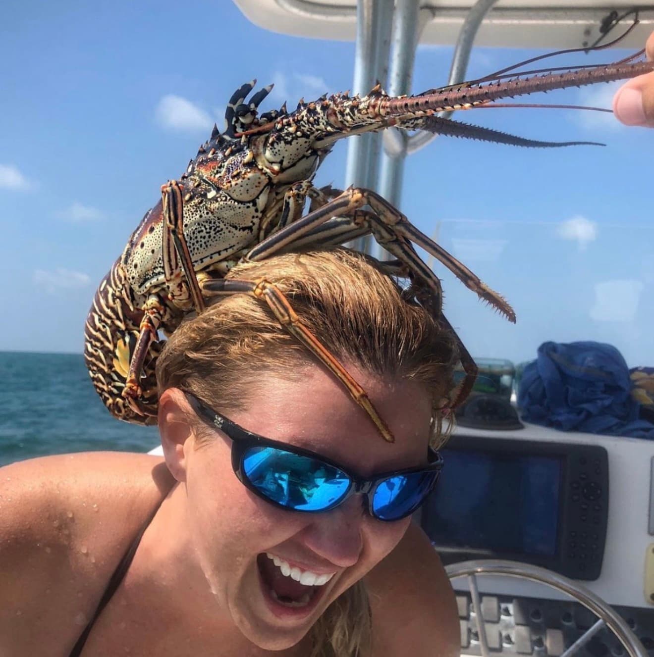 Key West Lobstering & Sandbar Combo — Private Spearfishing Charter photo 2