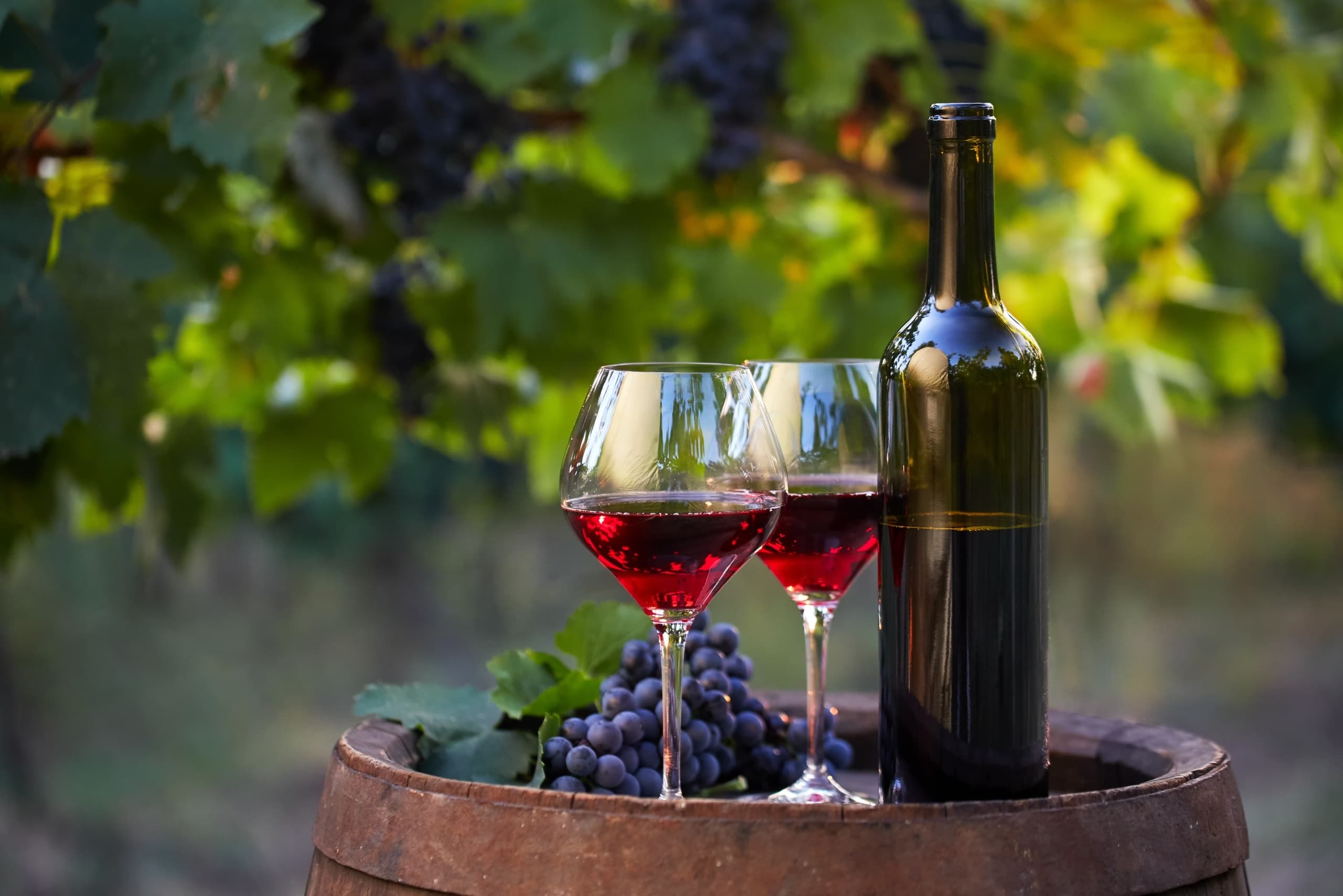 Southern AZ Wine Tour by Blasian Limousine & Transportation