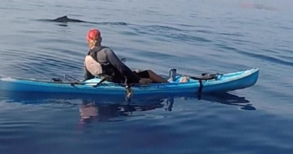 Whale Watch & Reef Snorkel Adventure with Maui Kayaks