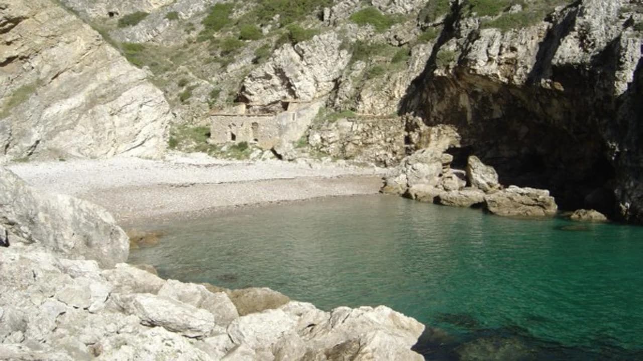 Praia da Baleeira Boat Journeys with Sea Dreams