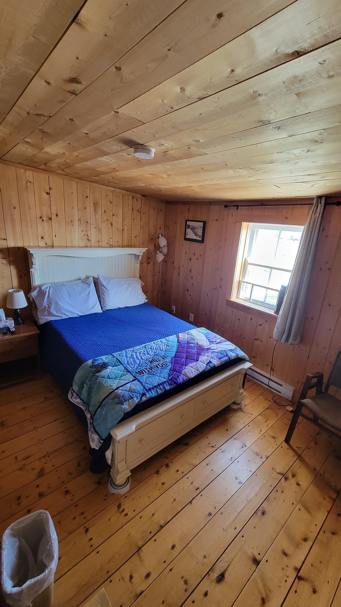 Outdoor Adventures with Trinity Eco-Tours in Trinity Bay