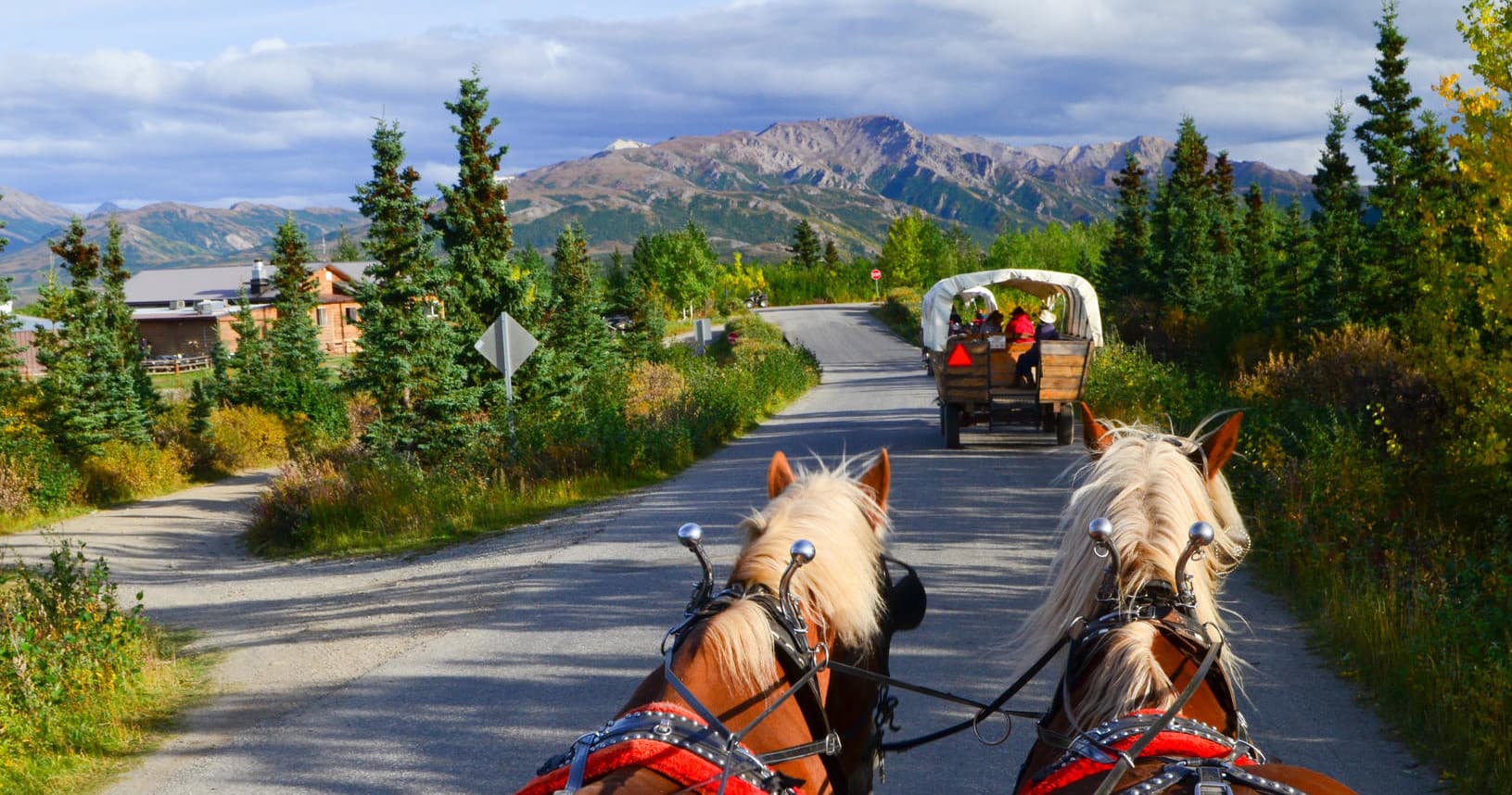 Horse-Drawn Covered Wagon with Dining at Black Diamond Resort, Healy