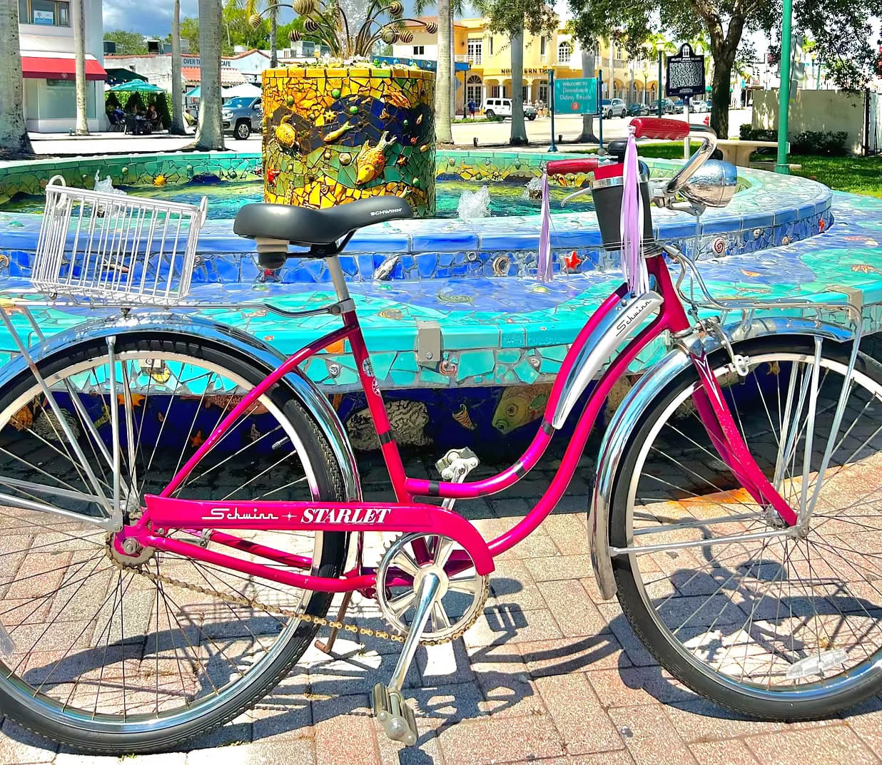 Vintage Cruiser Rides with Seaside Bicycle Rentals in Delray