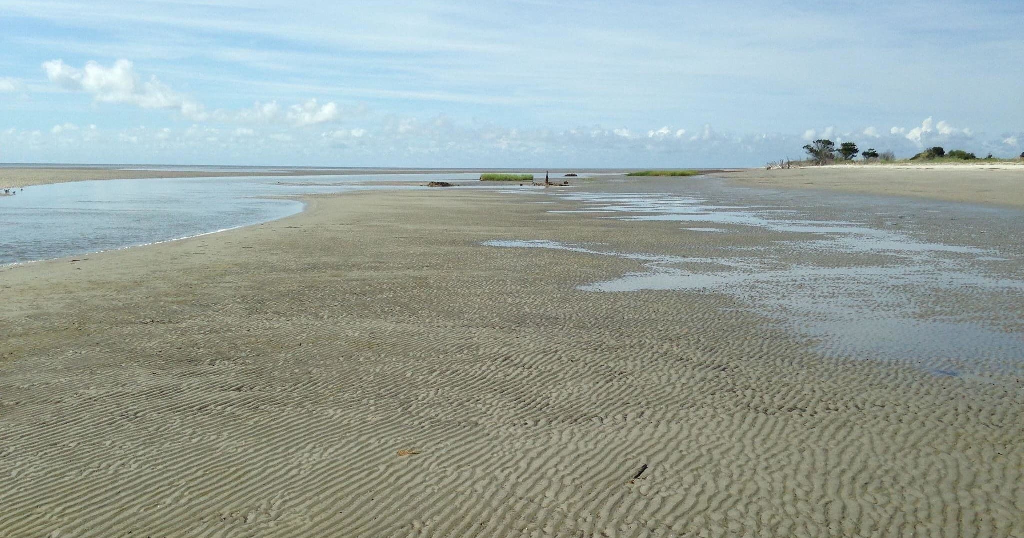 Scenic tidal sandbar and shoreline at low tide with horizon view