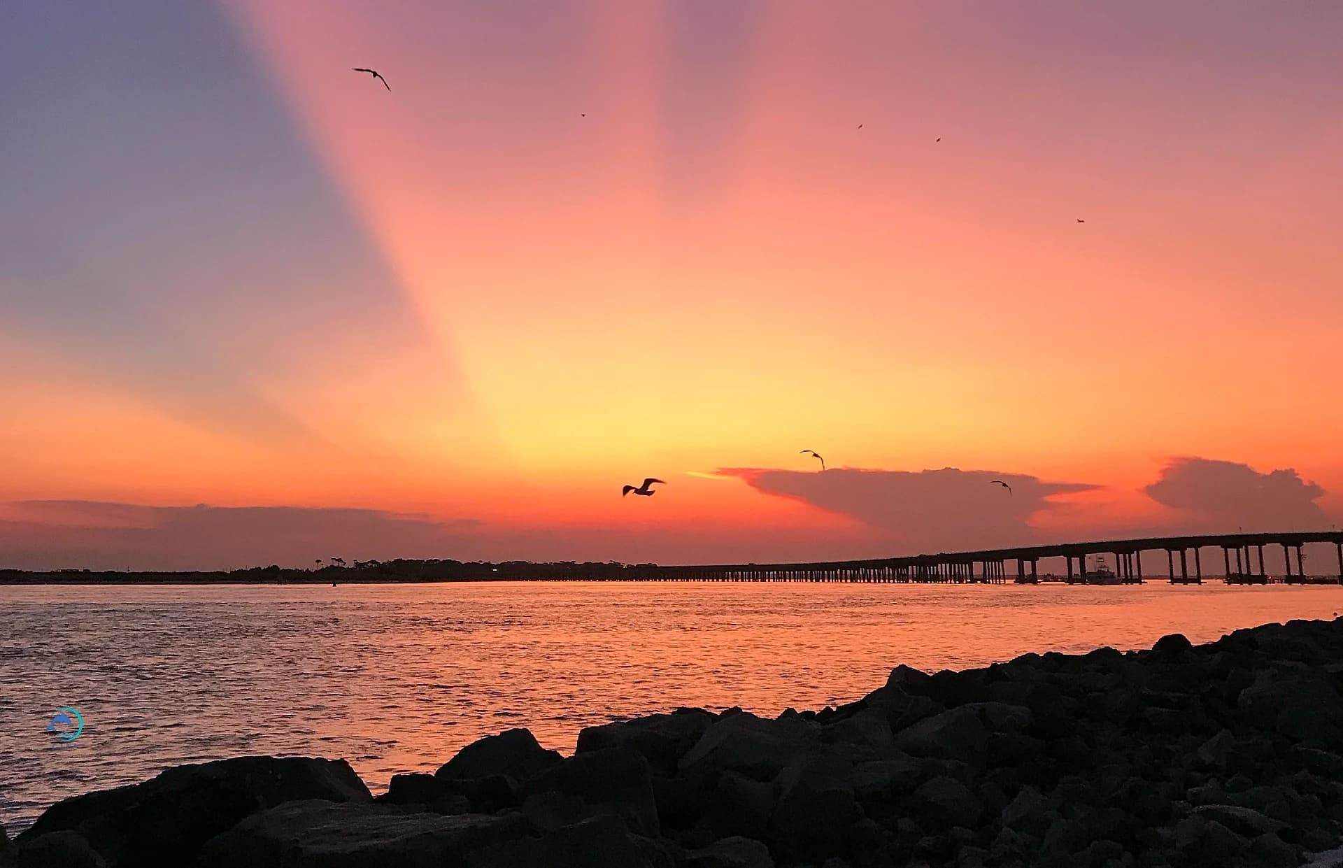 Sunset Cruise with Crab Island Luxury Adventures in Miramar Beach