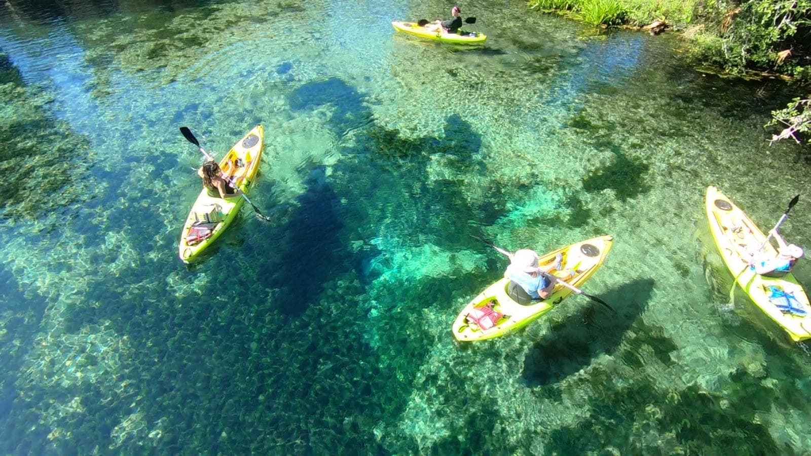 Paddling & Scalloping Adventures with River Adventure Tours in Homosassa