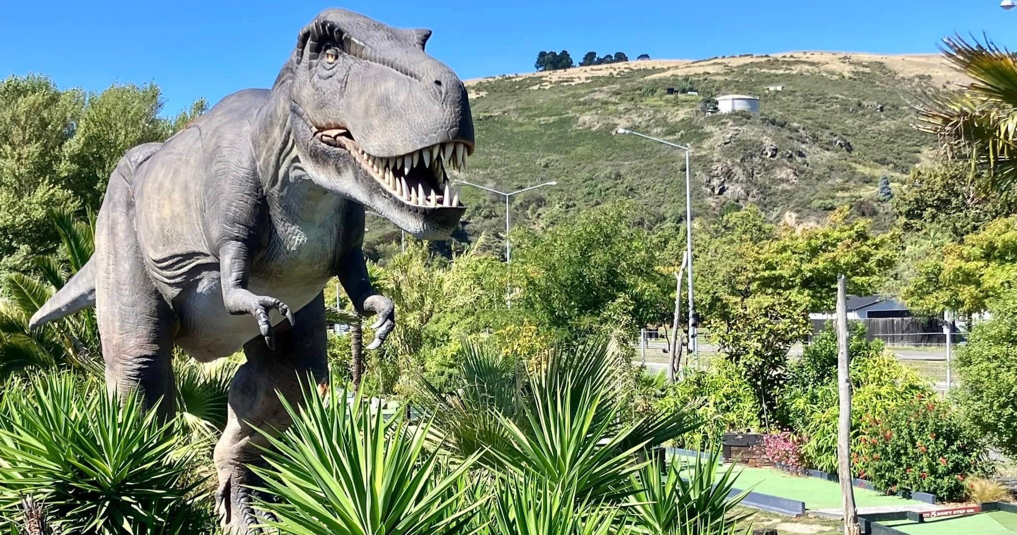 All-Day Bouncy Castle in Christchurch: Unlimited Inflatable Play for Families