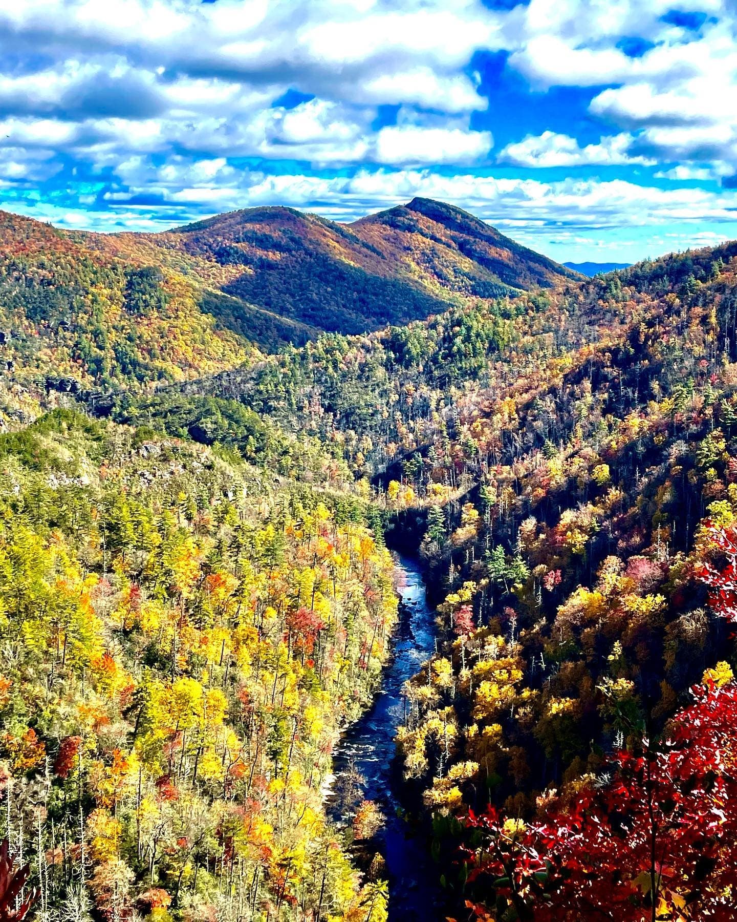 1/2 Day Hiking Adventure
