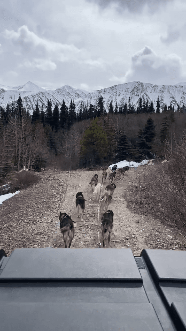 Skagway to the Yukon: Dog Musher Camp & White Pass Scenic Drive (Half-Day)