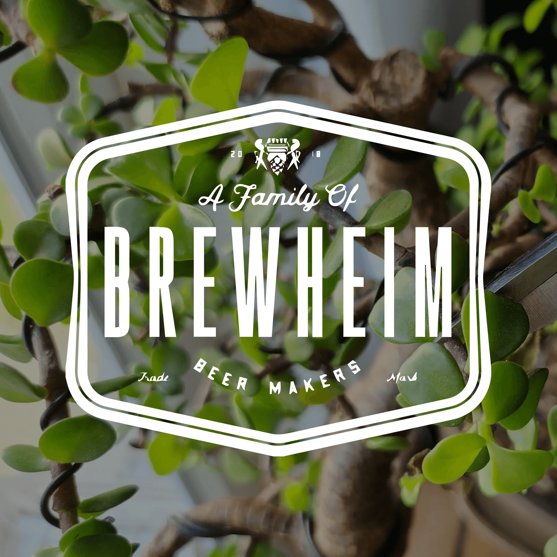 Bonsai Bar @ Brewheim: Craft Beer Evenings and Tiny Trees in Anaheim