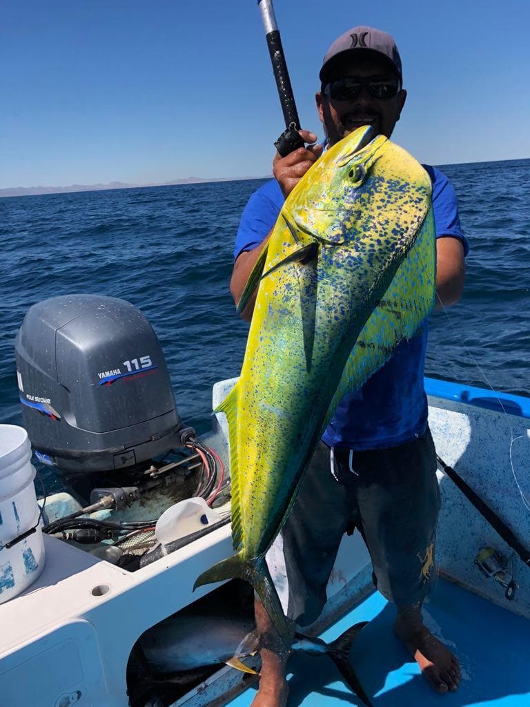 Fishing Adventure Aboard 22' Panga in Baja California Sur