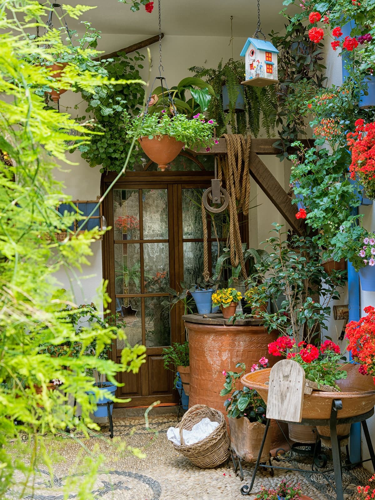 Discover Córdoba’s Ruta de Patios de San Basilio: A Vibrant Walk Through History and Color photo 3