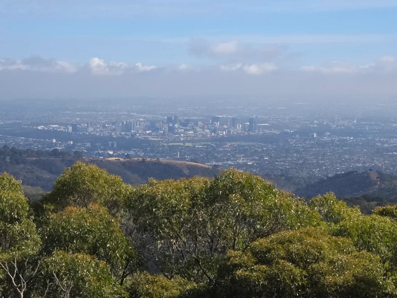 Bums On Seats: Adelaide to Mt Lofty & Hahndorf Tour
