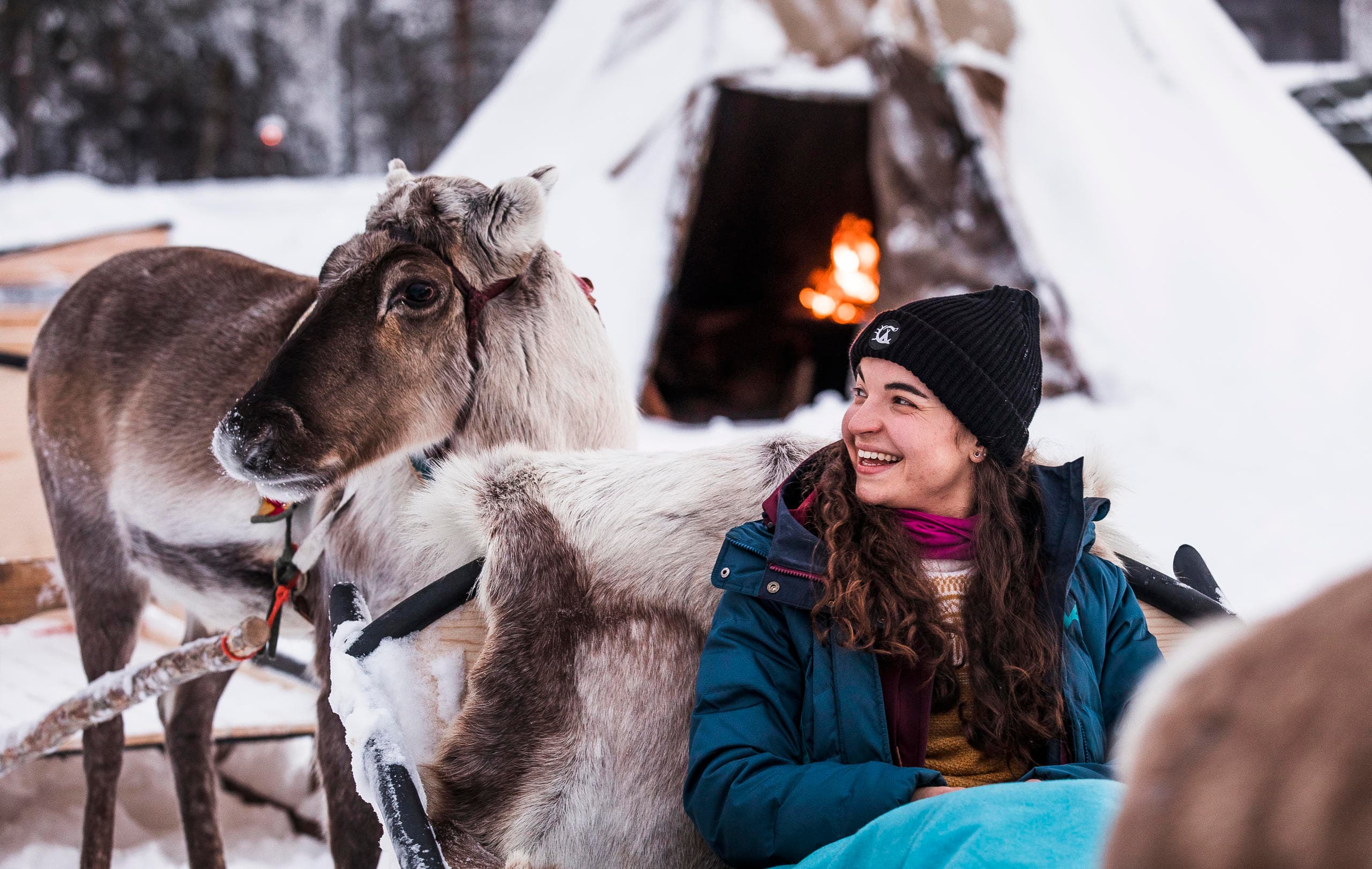 Reindeer Sleigh Ride at Aurora Village in Inari