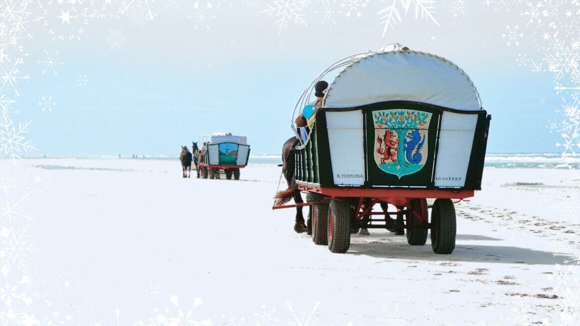 Winter Horse-Drawn Carriage Tour at Huifkarbedrijf Terpstra